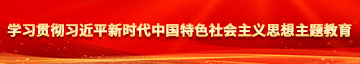 美女B被日学习贯彻习近平新时代中国特色社会主义思想主题教育