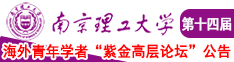 大雷色色美女南京理工大学第十四届海外青年学者紫金论坛诚邀海内外英才！